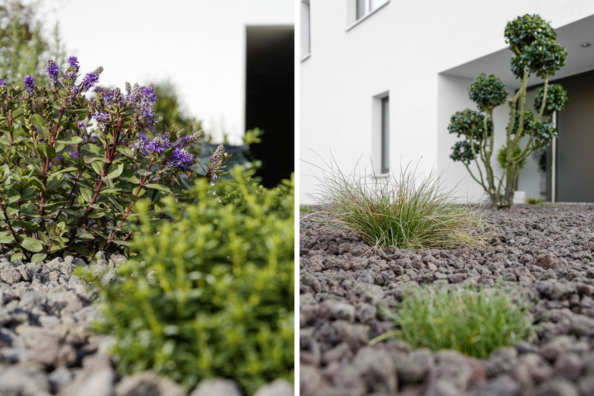 Garten – mxliving