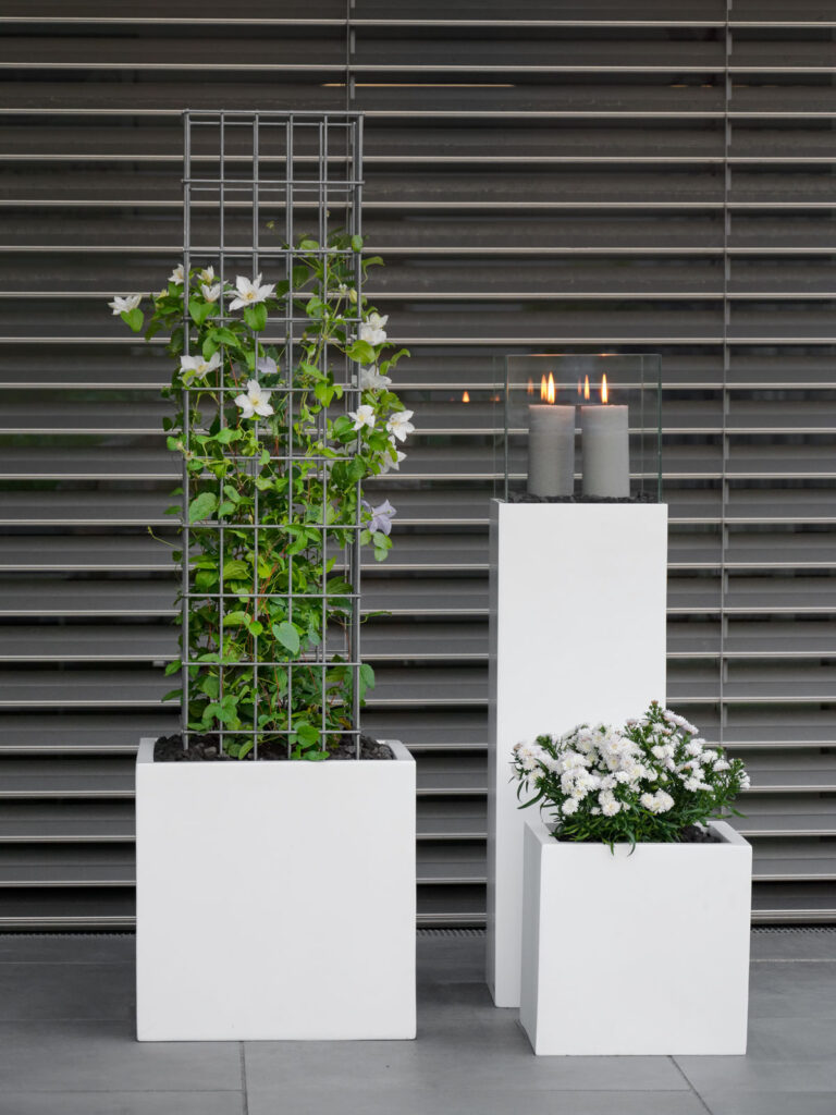 GARTEN ein Rankgitter für die Clematis mxliving