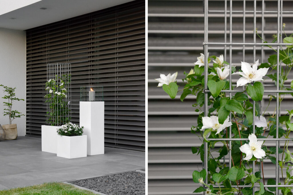 GARTEN ein Rankgitter für die Clematis mxliving